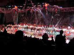 DSC06748_1024.JPG